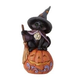Enesco Gifts Jim Shore Heartwood Creek Mini Black Cat on Pumpkin Figurine Free Shipping Iveys Gifts And Decor