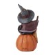 Enesco Gifts Jim Shore Heartwood Creek Mini Black Cat on Pumpkin Figurine Free Shipping Iveys Gifts And Decor