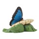 Enesco Gifts Jim Shore Heartwood Creek Nature's Meadow Mini Blue Morpho Butterfly Figurine Free Shipping Iveys Gifts And Decor