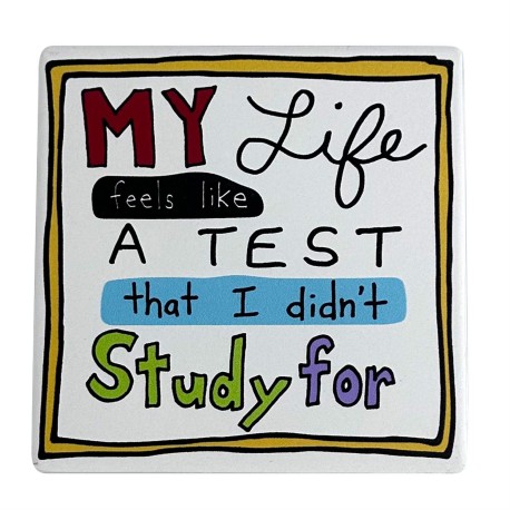 Enesco Gifts Our Name Is Mud My Life Is A Test Coaster Free Shipping Iveys Gifts and Decor