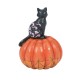 Enesco Gifts Jim Shore Heartwood Creek Lighted LED Black Cat On Pumpkin Figurine Free Shipping Iveys Gifts And Decor