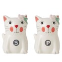 Salt And Pepper Shakers