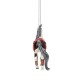 Pre Order Trail Of Painted Ponies Pride Of The Red Nations Ornament