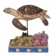 Enesco Gifts Jim Shore Animal Planet Hawksbill Sea Turtle Figurine Free Shipping Iveys Giftts And Decor