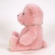 Pre Order Boyds Bear Lil m, Sprinkles Teddy Bear