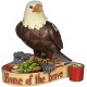 Enesco Gifts Jim Shore Heartwood Creek Home Of The Brave Mini Patriotic Eagle Figurine Free Shipping Iveys Gifts And Decor